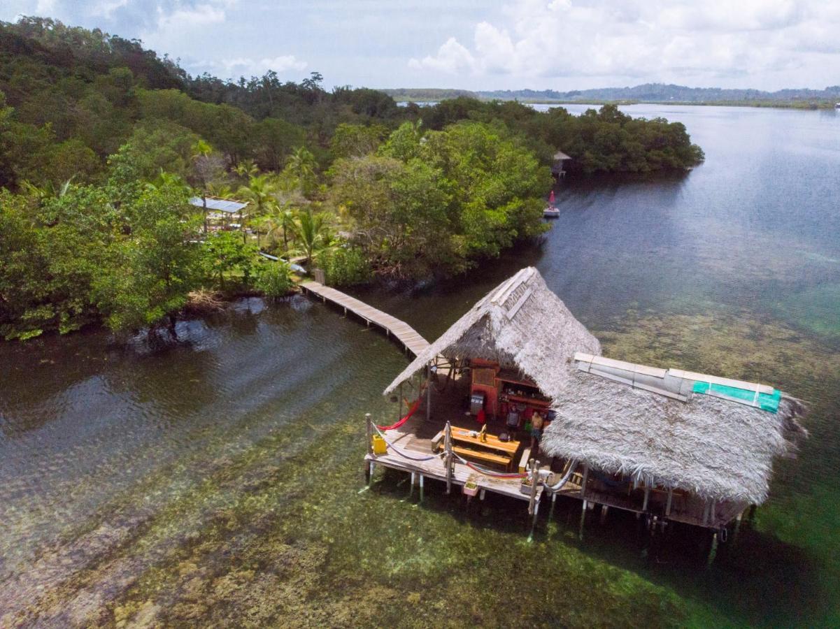 Cocovivo Hotel Bocas del Toro Exterior photo