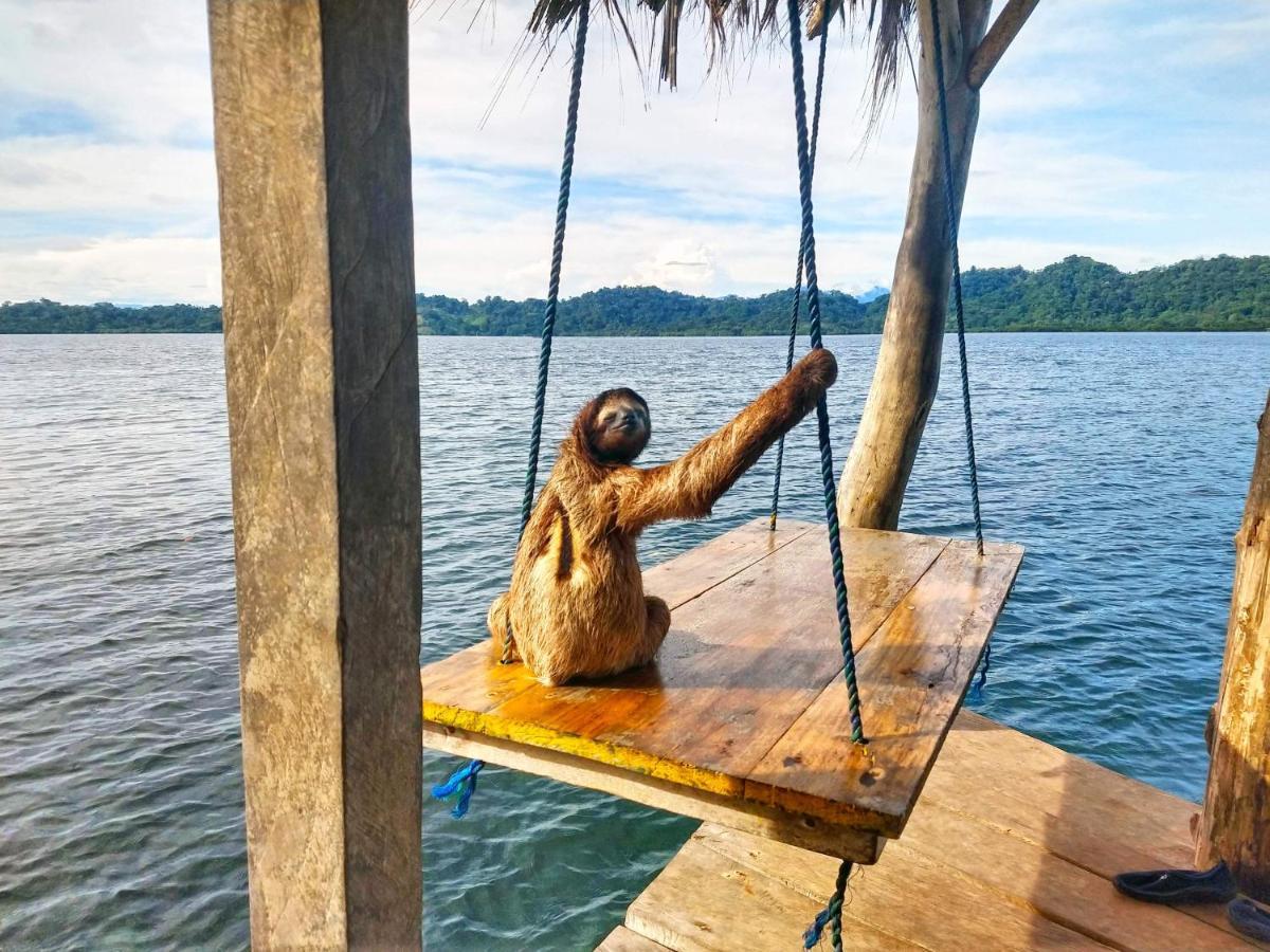 Cocovivo Hotel Bocas del Toro Exterior photo